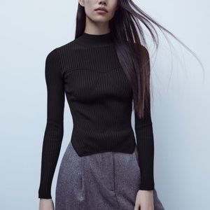 Zara Fitted Knit Sweater